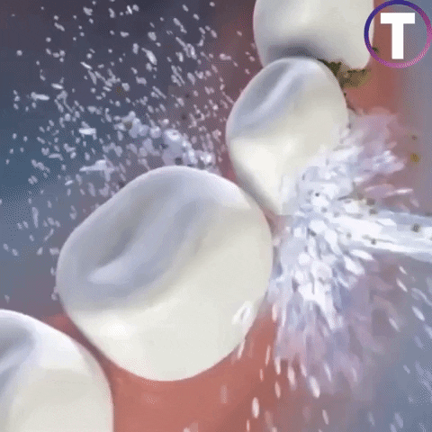 Irrigador Dental Portátil